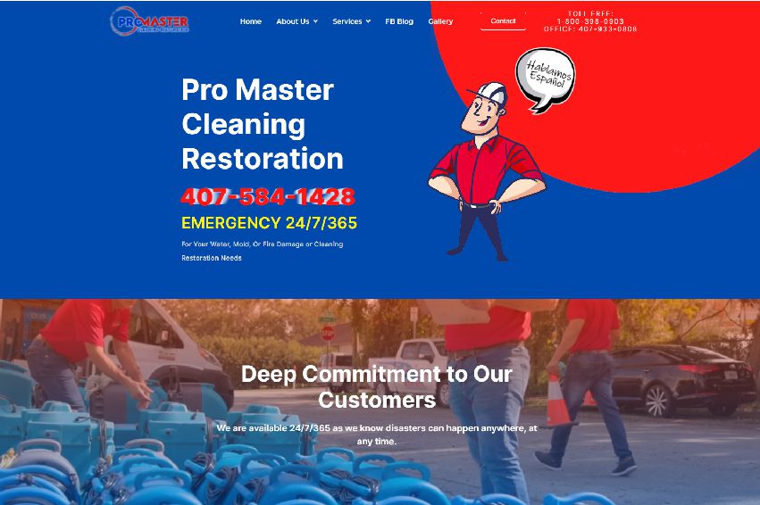 Pro Master Cleaning